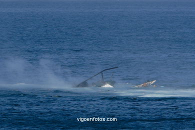 Helic�ptero (accidente). Exhibiciones a�reas. 
