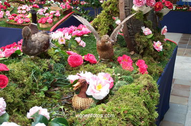 Exposici�n de la camelia 2002. 