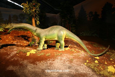 Dinosaurios - Expo Gobissauros.