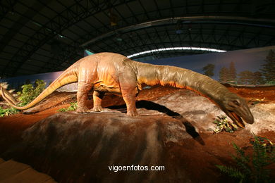 Dinosaurios - Expo Gobissauros.