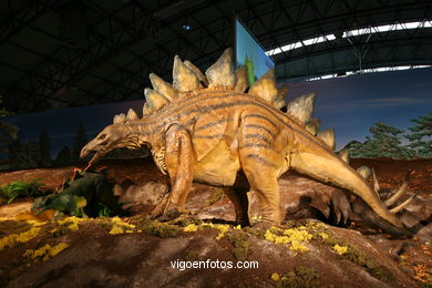 Dinosaurios - Expo Gobissauros.