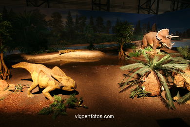 Dinosaurios - Expo Gobissauros.