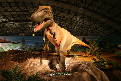 Dinosaurios - Expo Gobissauros.