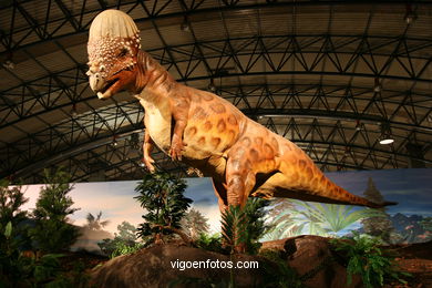 Dinosaurios - Expo Gobissauros.