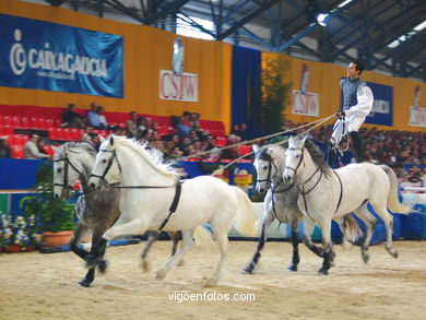CSI de hípica de Vigo 2004.