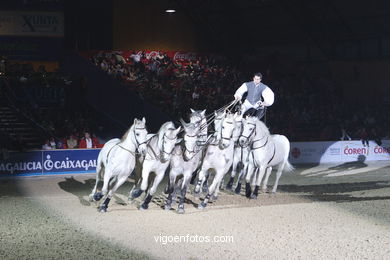 CSI de h�pica de Vigo 2005. 