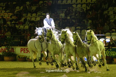 CSI de h�pica de Vigo 2007. 