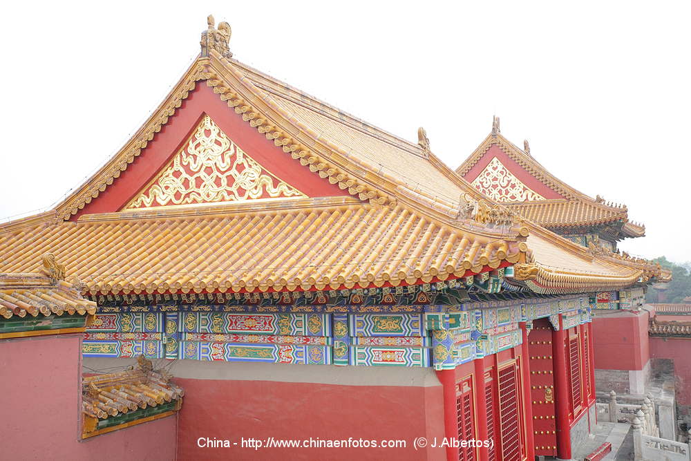 Pombos Praça Cidade Proibida Pequim China Pombos Voando Frente Muralha  fotos, imagens de © calvin99 #384795524