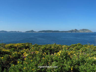 THE CIES FROM THE SEA