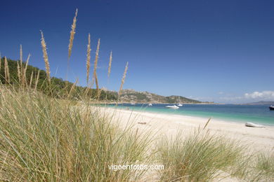 LANDSCAPES OF CIES