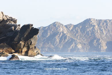 VISTAS DE LAS CÍES