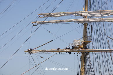 KRUZENSHTERN -  TALL SHIPS ATLANTIC CHALLENGE 2009 - VIGO, SPAIN. CUTTY SARK. 2009 - 