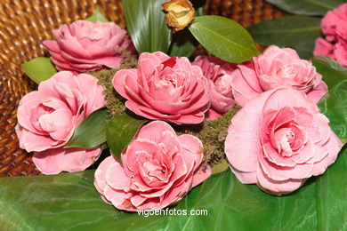 CAMELIAS - 41 CONCORRO EXPOSIÇÃO DA CAMELIA 2005