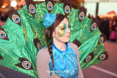 CARNAVAIS 2013 - DESFILE DE COMPARSAS