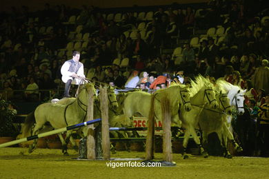 CONCURSO DE SALTOS DE HÍPICA DE VIGO - CSI 2007