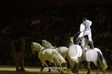 CONCURSO DE SALTOS DE HÍPICA DE VIGO - CSI 2007