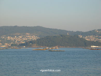 Photos Of View Domaio - Nature - MoaÑa. Vigo Bay. Galicia. Visit Spain 