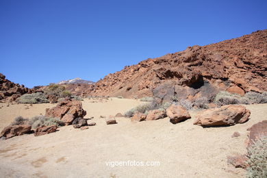 TEIDE: PARQUE NACIONAL 