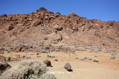 TEIDE: PARQUE NACIONAL 