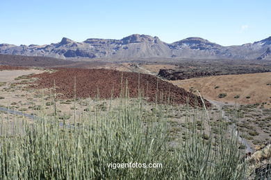 TEIDE: PARQUE NACIONAL 