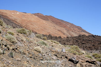 TEIDE: PARQUE NACIONAL 