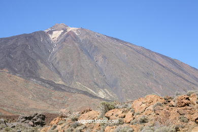 TEIDE: PARQUE NACIONAL 