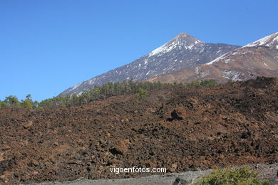 TEIDE: PARQUE NACIONAL 